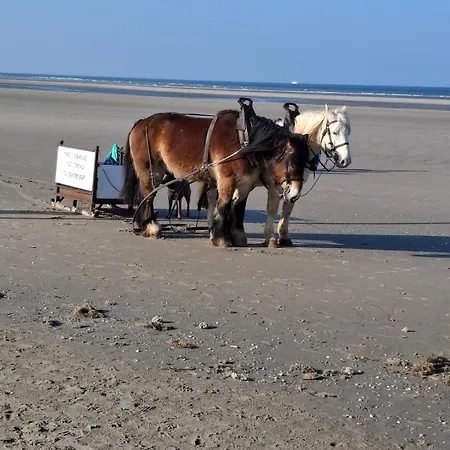 Proche Avec Jacuzzi 카미에르